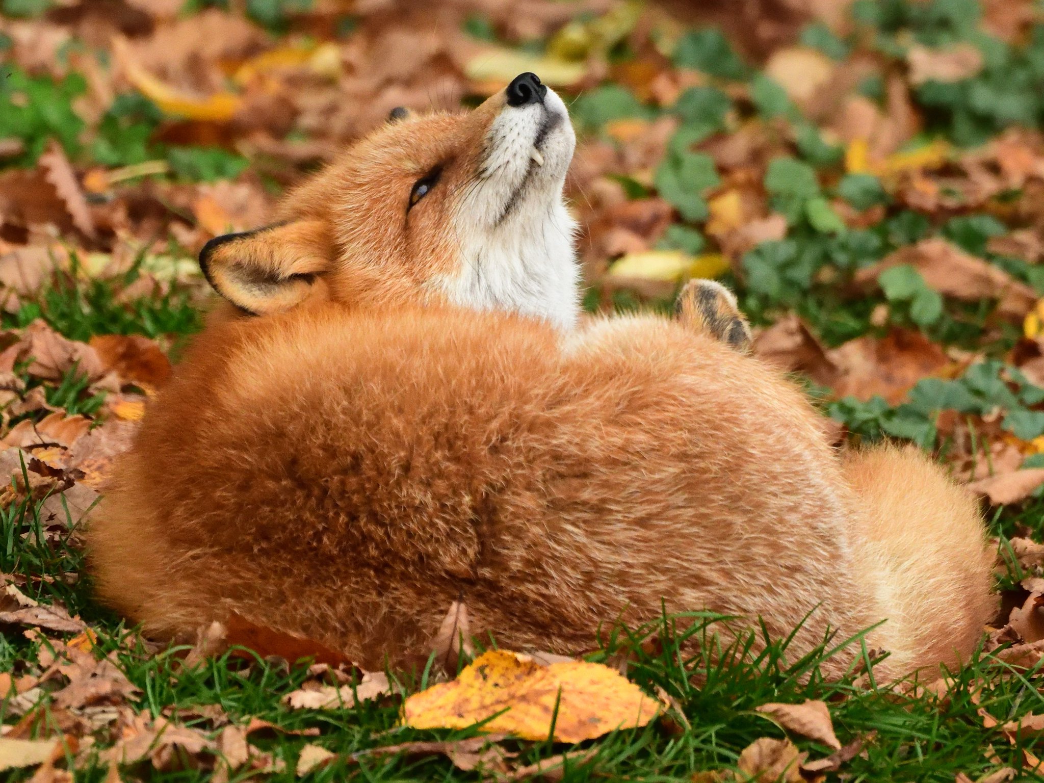 [Writing] 也无风雨也无晴