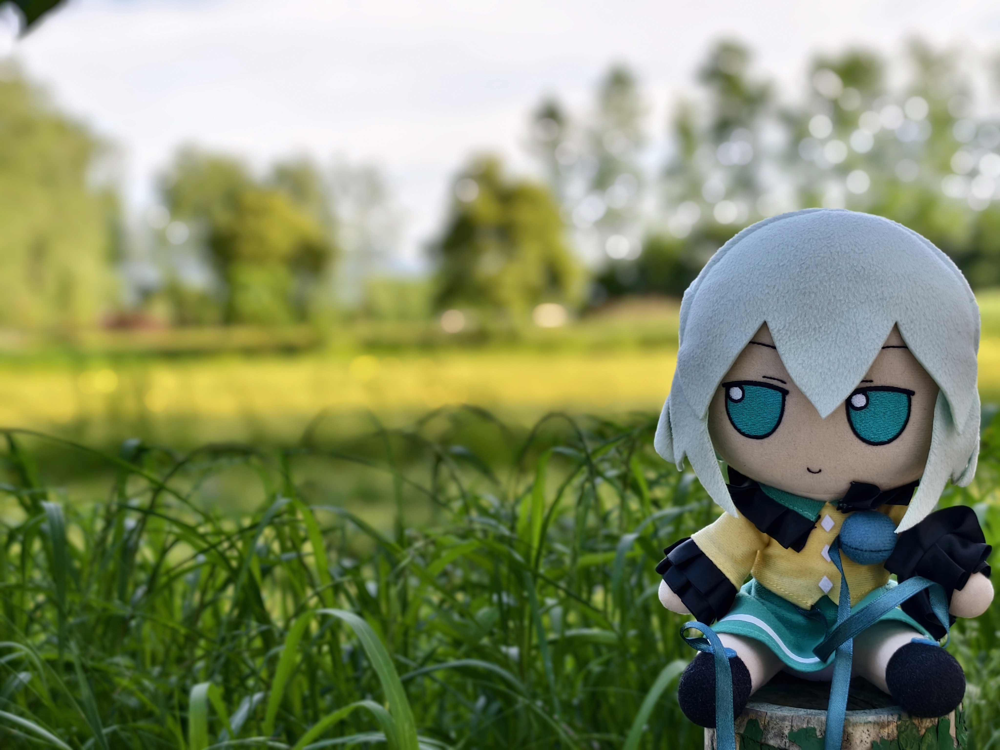 [Picture] 无意识的野炊